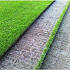 Фото.Рулонный газон по самым низким ценам на landshaft-design.kiev.ua.
