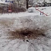 В Румынии на охоте застрелили мэра