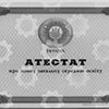 Школьный аттестат утратил свою значимость при поступлении в ВУЗ